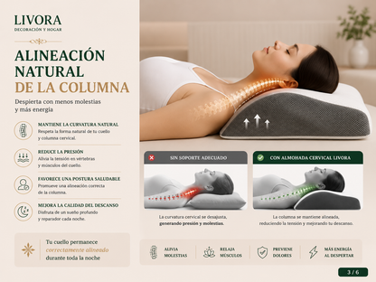 Memory Cotton Pillow